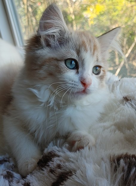 20260301_143918_HDR_(1)