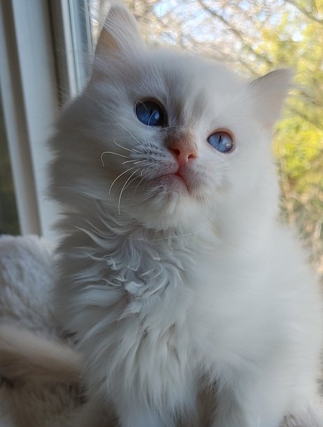 20260301_142335_HDR_(1) - Copy