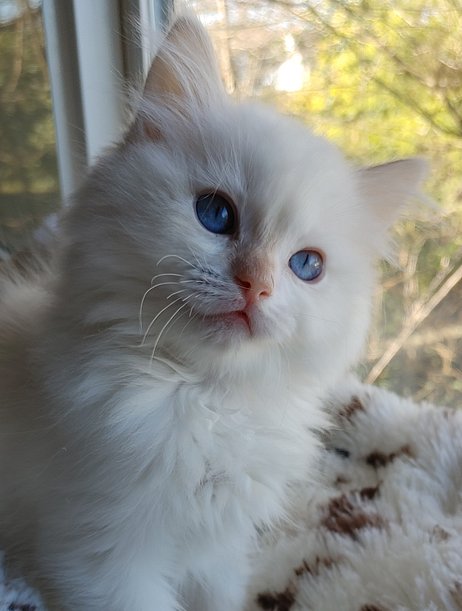 20260301_142047(1)_(1)