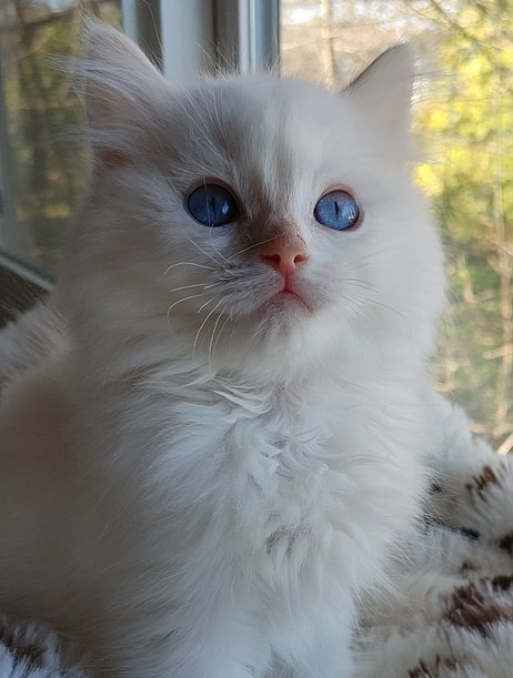 20260301_142127_(1) - Copy