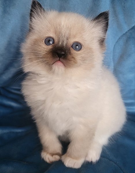 IMG_20251229_131640 (2)