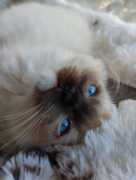 20260301_145243_HDR_(1)