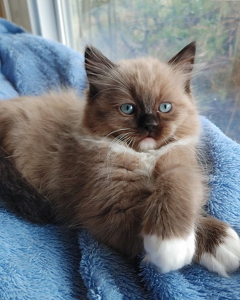 20260128_130421_(1) - Copy