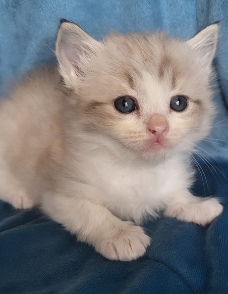 IMG_20251229_131639 (13)