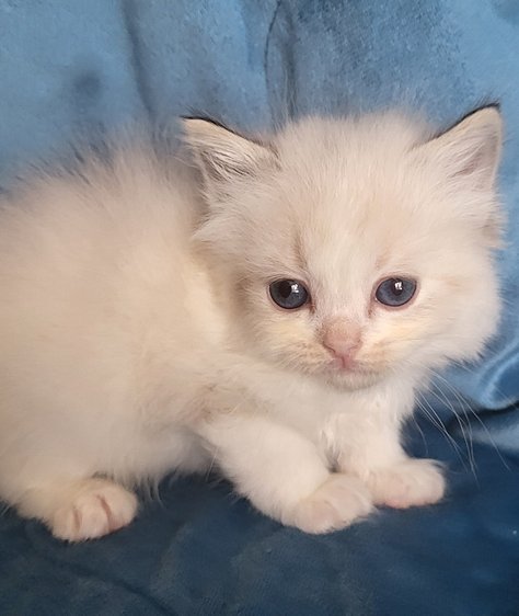 IMG_20251229_131639 (4)