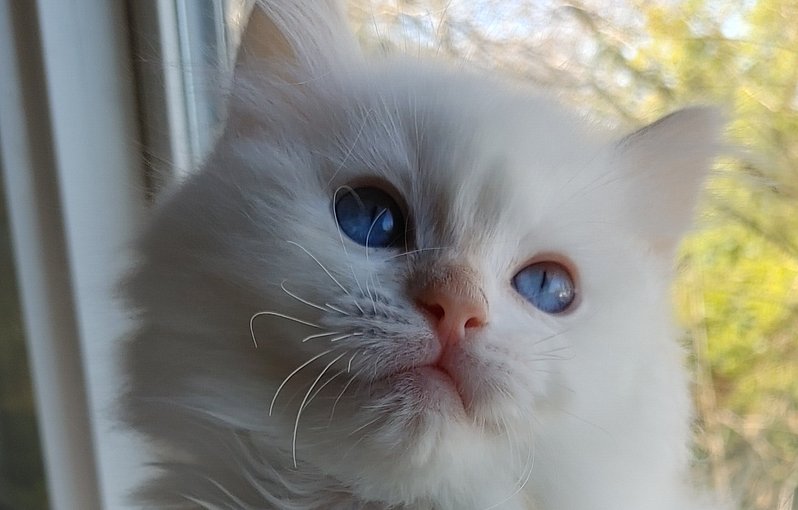 20260301_142335_HDR_(1) - Copy